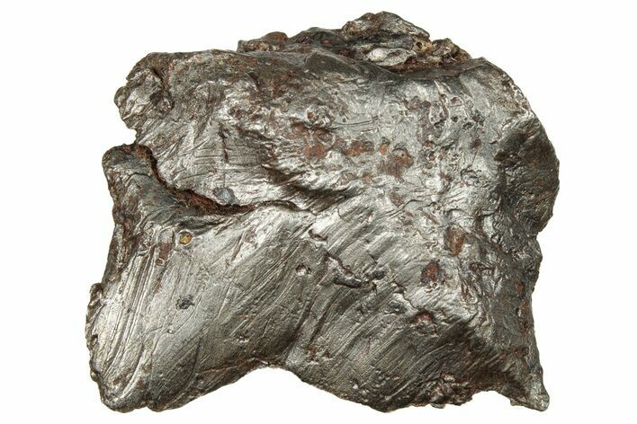 Sikhote-Alin Iron Meteorite Shrapnel ( g) - Russia #246971
